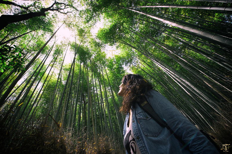 30+ cách tạo dáng chụp ảnh trong rừng đẹp lạ hút triệu like
