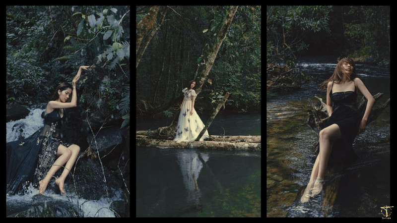 30+ cách tạo dáng chụp ảnh trong rừng đẹp lạ hút triệu like