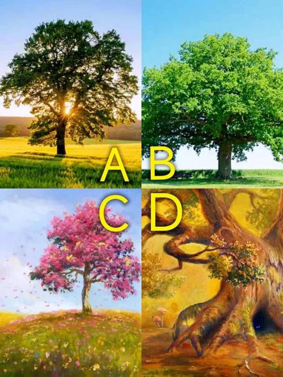 Trắc nghiệm tâm lý: Bạn muốn ngồi dưới bóng cây nào?