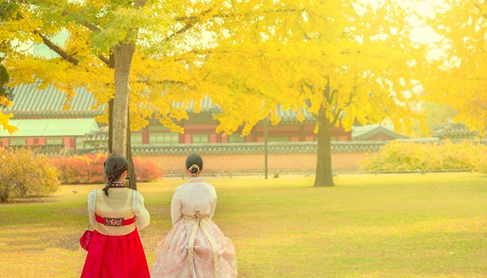 Du lịch mùa thu Hàn Quốc tháng mấy, có gì vui, chơi ở đâu?