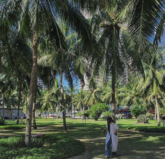 Check-in công viên Biển Đông Đà Nẵng quẩy hết mình với vô vàn trải nghiệm 