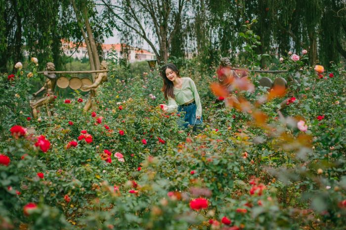 Vườn hoa thành phố Đà Lạt - thiên đường cổ tích đẹp mê hồn 
