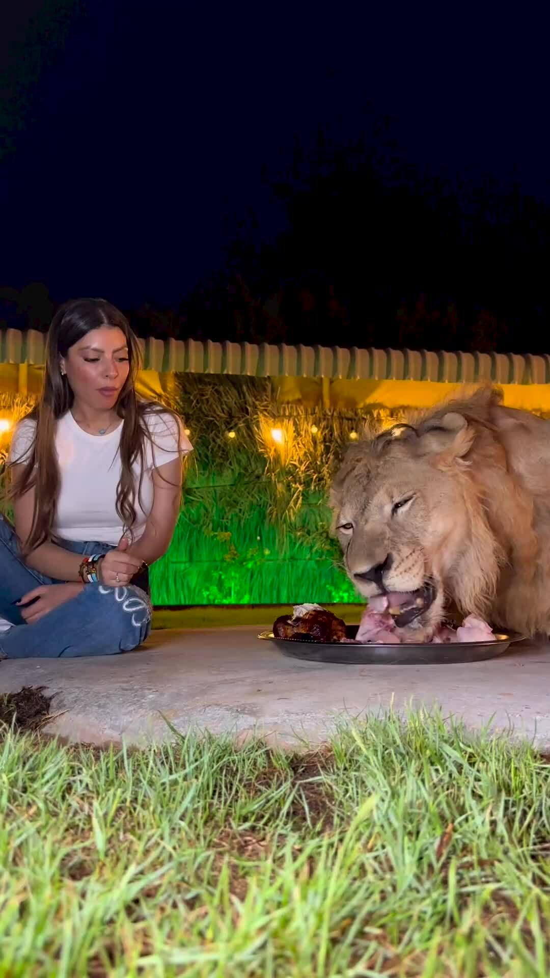Người đẹp ăn cùng sư tử