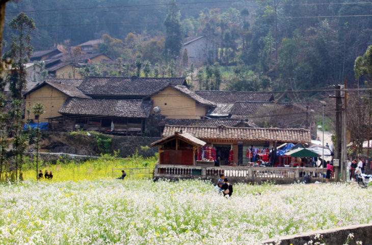 Khám phá vẻ đẹp ở làng văn hóa Lũng Cẩm Hà Giang