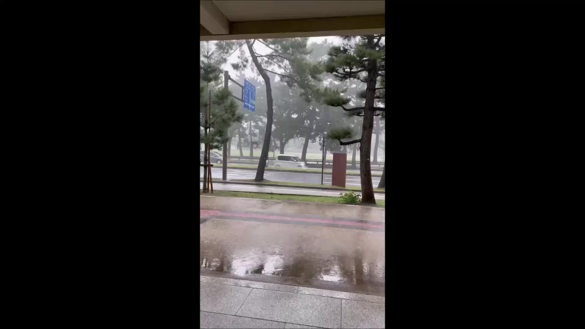 Hươu trú mưa trong hiên nhà ở Nhật