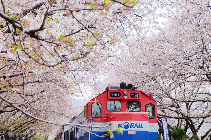 thời tiết seoul, hàn quốc từng tháng trong năm – du lịch seoul tháng mấy thì đẹp?