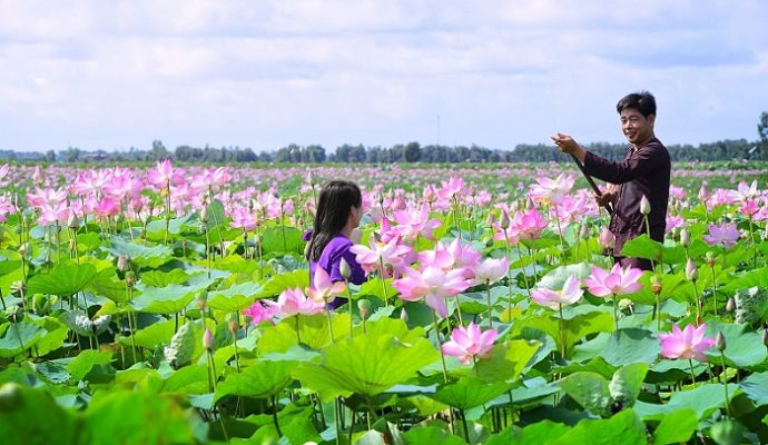 experience going to dong sen thap muoi ecotourism area to check in thousands of people