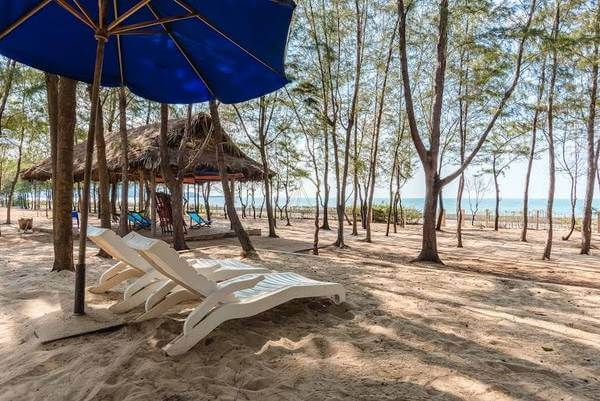 top 9 great ecotourism areas in vung tau you should go