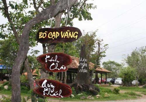 top 10 ecotourism areas to visit in dong nai