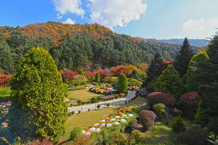 Say đắm trước cảnh sắc thiên nhiên tươi đẹp của “xứ sở kim chi” trong tour Hàn Quốc 4N4Đ