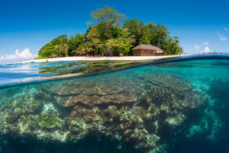 Đắm chìm nơi “thiên đường xanh” đẹp cuốn hút tại đảo Sipadan, Malaysia