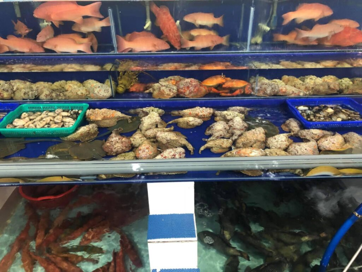Vựa hải sản quận Bình Thạnh – TOP Địa điểm bán ngon chất lượng giá rẻ
