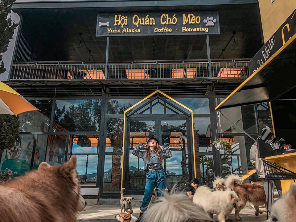 điểm danh top 15 quán cafe chó đà lạt siêu đáng yêu