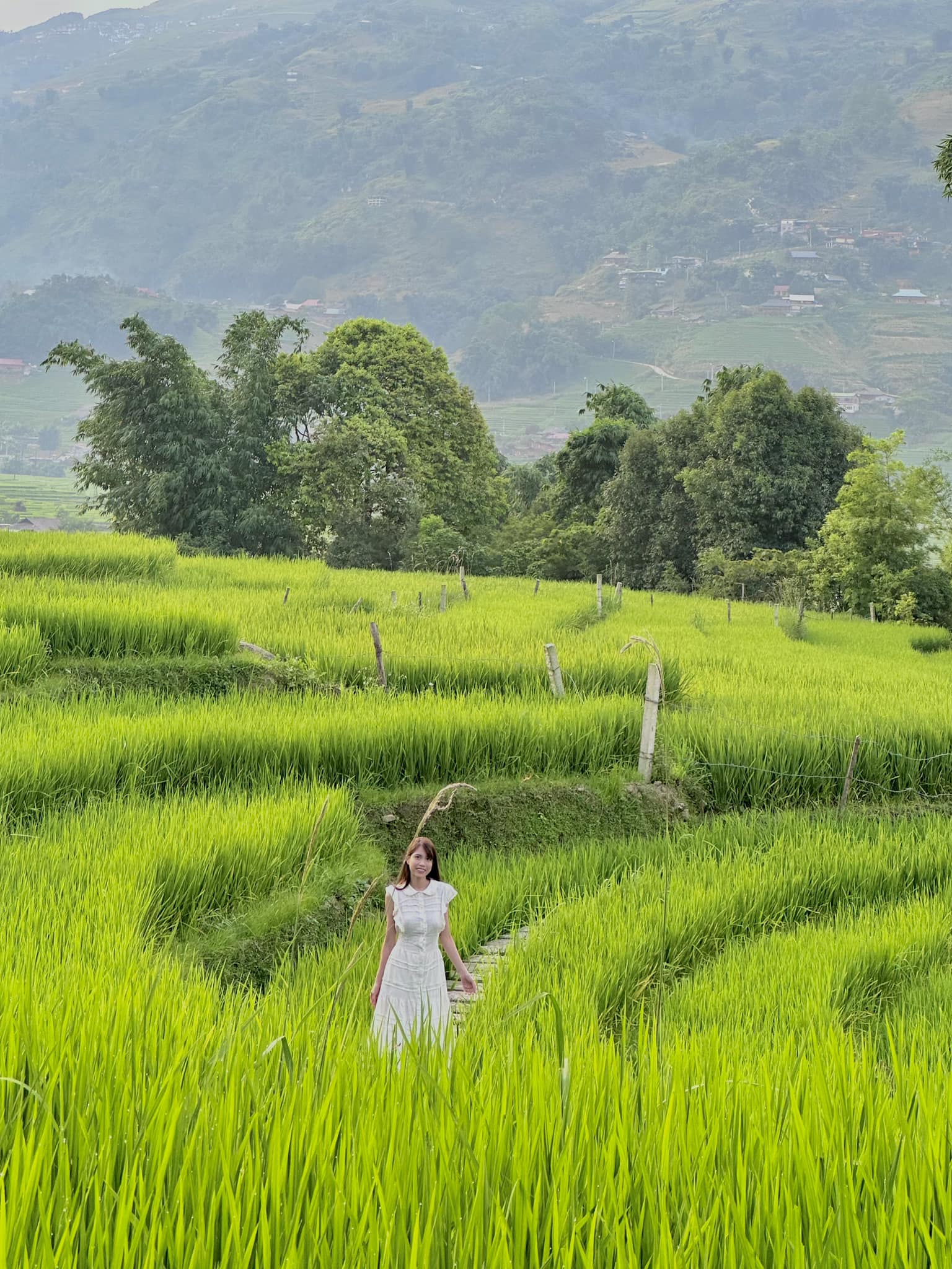 ai cũng đi sapa dịp này nhưng đã biết những tọa độ ngắm toàn cảnh ruộng bậc thang bất kể nắng mưa hay chưa?