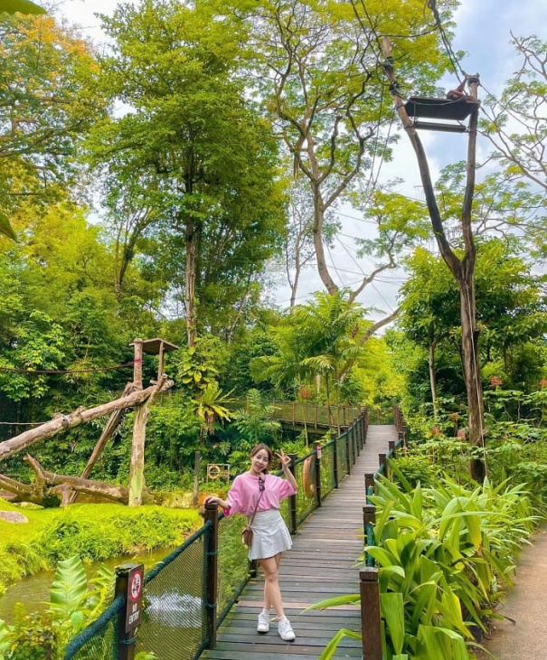 Đến ngay sở thú Singapore khám phá thiên đường của các loài động vật
