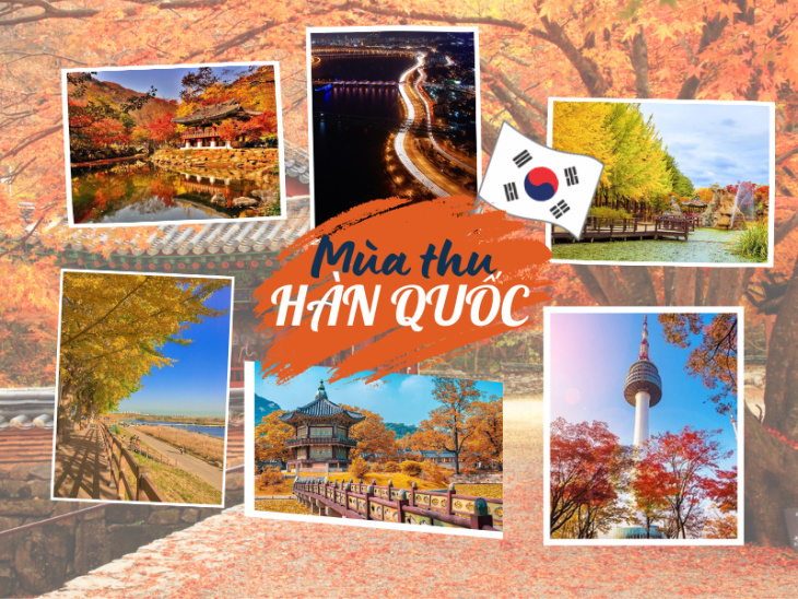 Chia sẻ kinh nghiệm du lịch Hàn Quốc mùa lá đỏ