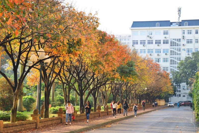 review top 10 best universities in vietnam