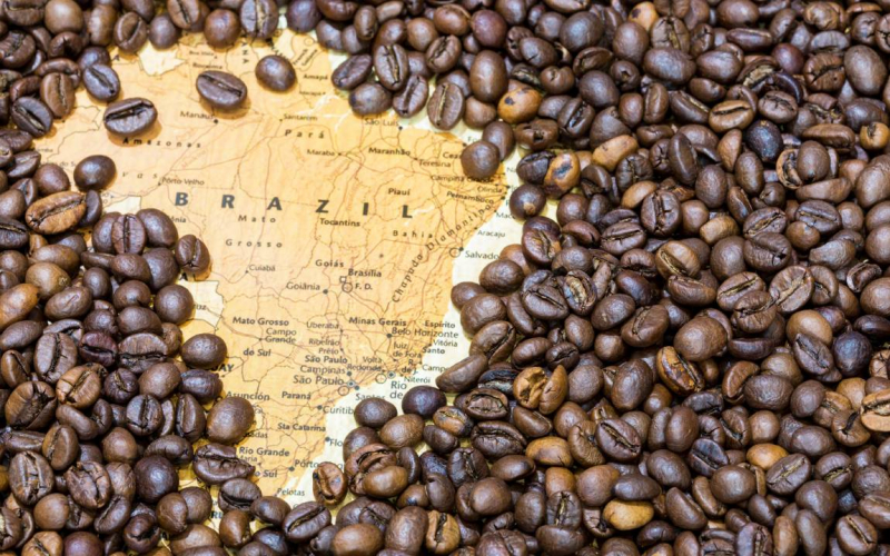 Review Top 10 Largest Coffee Producing Countries In The World