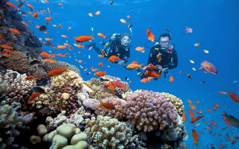 Review Top 7 Dive Sites in Vietnam