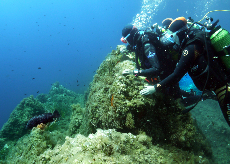 review top 10 greatest dive spots in france