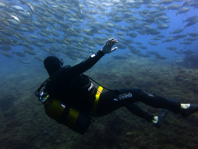 review top 10 greatest dive spots in france