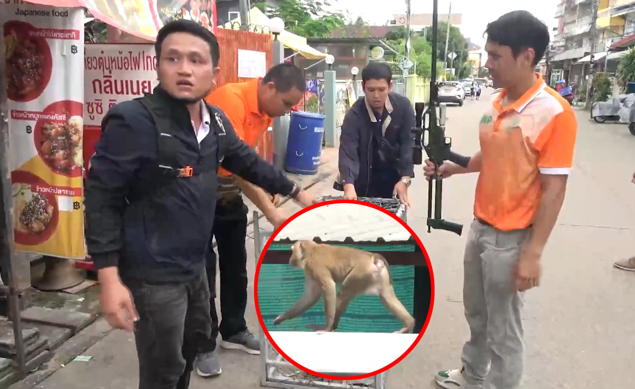 Cảnh sát vây bắt 'Tôn Ngộ Không' chuyên trộm gà