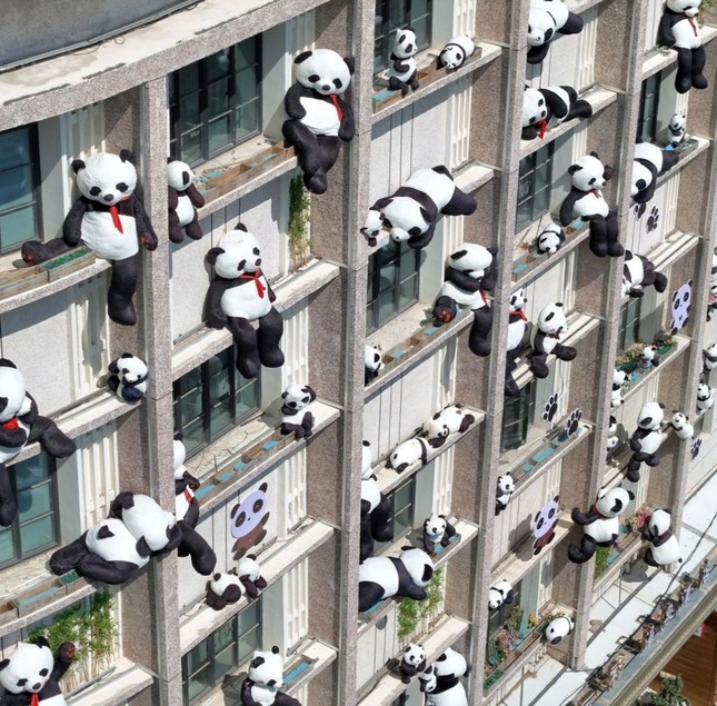 Xiêu lòng trước khách sạn Manxin Trung Quốc ngập tràn gấu trúc xinh xắn