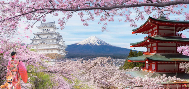 Địa điểm du lịch Nhật Bản đẹp 2024