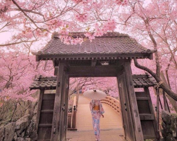 đẹp nhất, hấp dẫn nhất, nổi tiếng nhất, nhật bản, văn hóa nhật bản, du lịch nhật bản, mùa xuân nhật bản, hoa anh đào nhật bản, sakura, ngắm hoa anh đào, hoa anh đào, tokyo, công viên ueno, con đường keyakizaka, gongendo tsutsumi, công viên takato-joshi-koen, đền nghìn cổng fushimi inari, công viên hirosaki park, công viên pháo đài goryokaku, công viên senkoji, lâu đài osaka, công viên tsuruma, osaka, top 10 địa điểm ngắm hoa anh đào hấp dẫn nhất nhật bản
