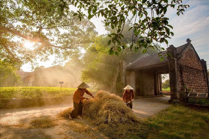 Top 12 làng cổ Việt Nam nên thơ nhất đưa bạn về chốn xa xưa thanh bình
