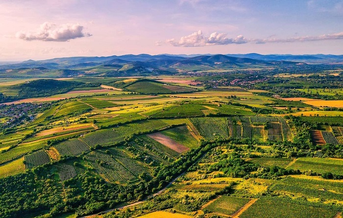 Đến thị trấn Tokaj khám phá vùng đất rượu nho xinh đẹp ở Hungary