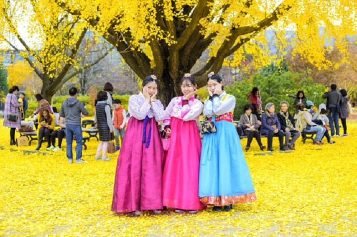 Khám phá mùa thu Hàn Quốc