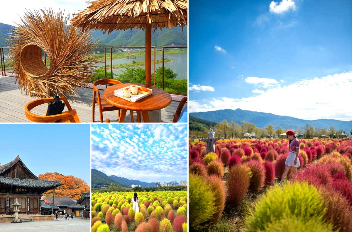 top 10 điểm du lịch đầu thu nổi tiếng ở hàn quốc được các travel blogger xứ kim chi đề cử