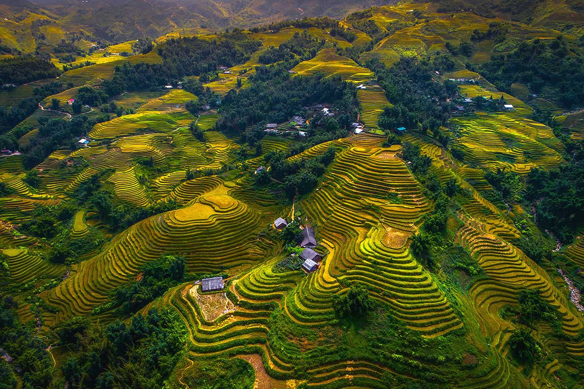 wandering souls day vietnam 2022