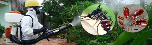 10 công ty dịch vụ diệt muỗi tốt nhất tại tp. hcm