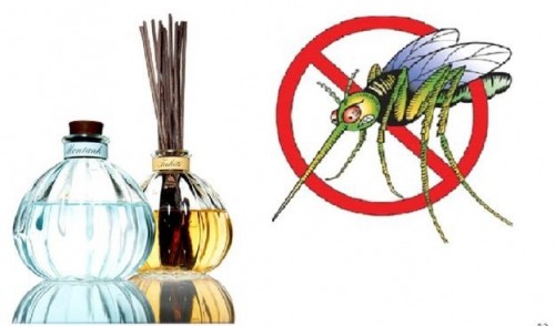 9 cách đuổi muỗi và diệt muỗi hiệu quả tại nhà để phòng tránh dịch sốt xuất huyết