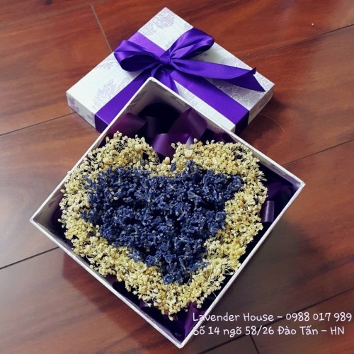 10 lý do nên tặng Lavender (hoa Oải Hương) vào ngày Valentine