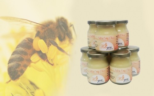 10 thương hiệu sữa ong chúa tươi chất lượng nhất hiện nay