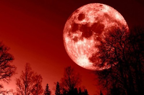 10 Sự thật thú vị về Mặt Trăng có thể bạn chưa biết