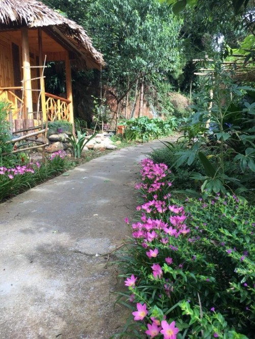 6 Homestay phong cách vintage giá dưới 500k ở Sapa