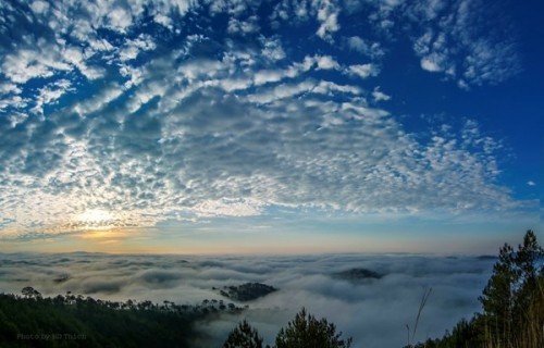 6 địa điểm săn mây đẹp nhất đà lạt