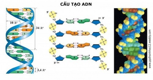 8 nguyên nhân gây ra rụng tóc