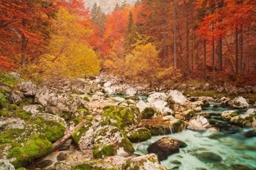 10 công viên đẹp nhất thế giới vào mùa thu