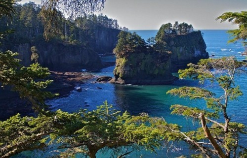 amazon,  10 khu rừng đẹp nhất trên thế giới mà bạn nên biết