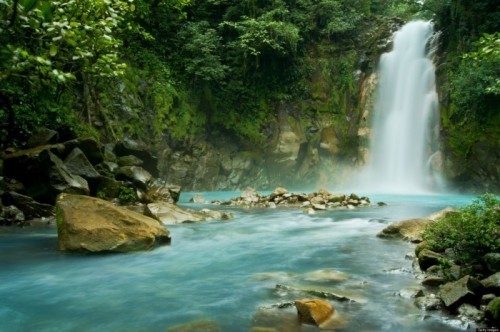 amazon,  10 khu rừng đẹp nhất trên thế giới mà bạn nên biết
