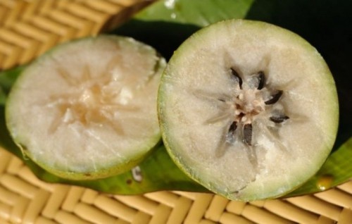 7 loại trái cây phổ biến được mệnh danh là thần dược