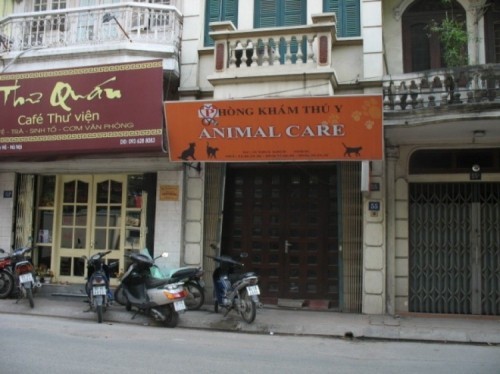 10 Phòng khám thú y uy tín nhất tại Hà Nội