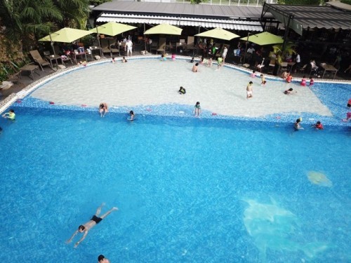 13 bể bơi công cộng có giá vé rẻ và chất lượng nhất tại Sài Gòn