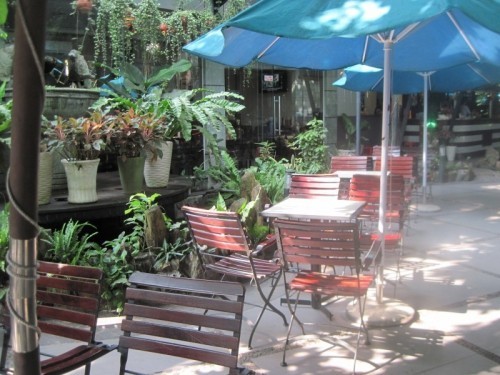 10 quán cafe sân vườn lí tưởng nhất để hẹn hò ở thủ dầu một - bình dương