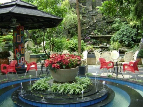 10 quán cafe sân vườn lí tưởng nhất để hẹn hò ở thủ dầu một - bình dương